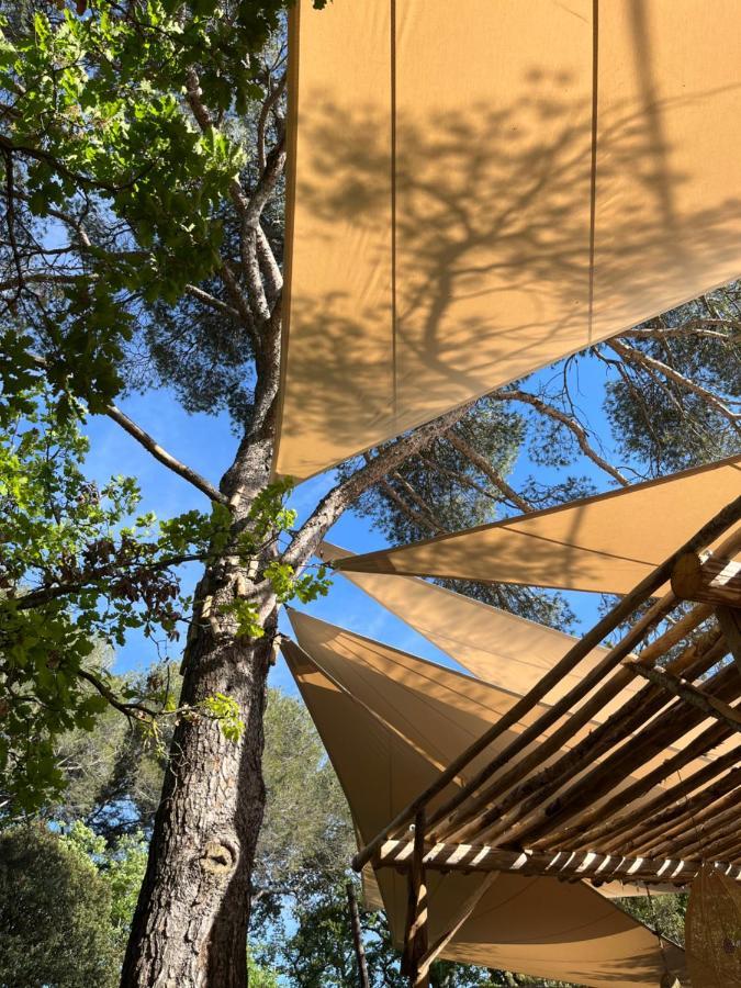 La Bastide Des Grands Chenes Bed & Breakfast Lambesc Bagian luar foto